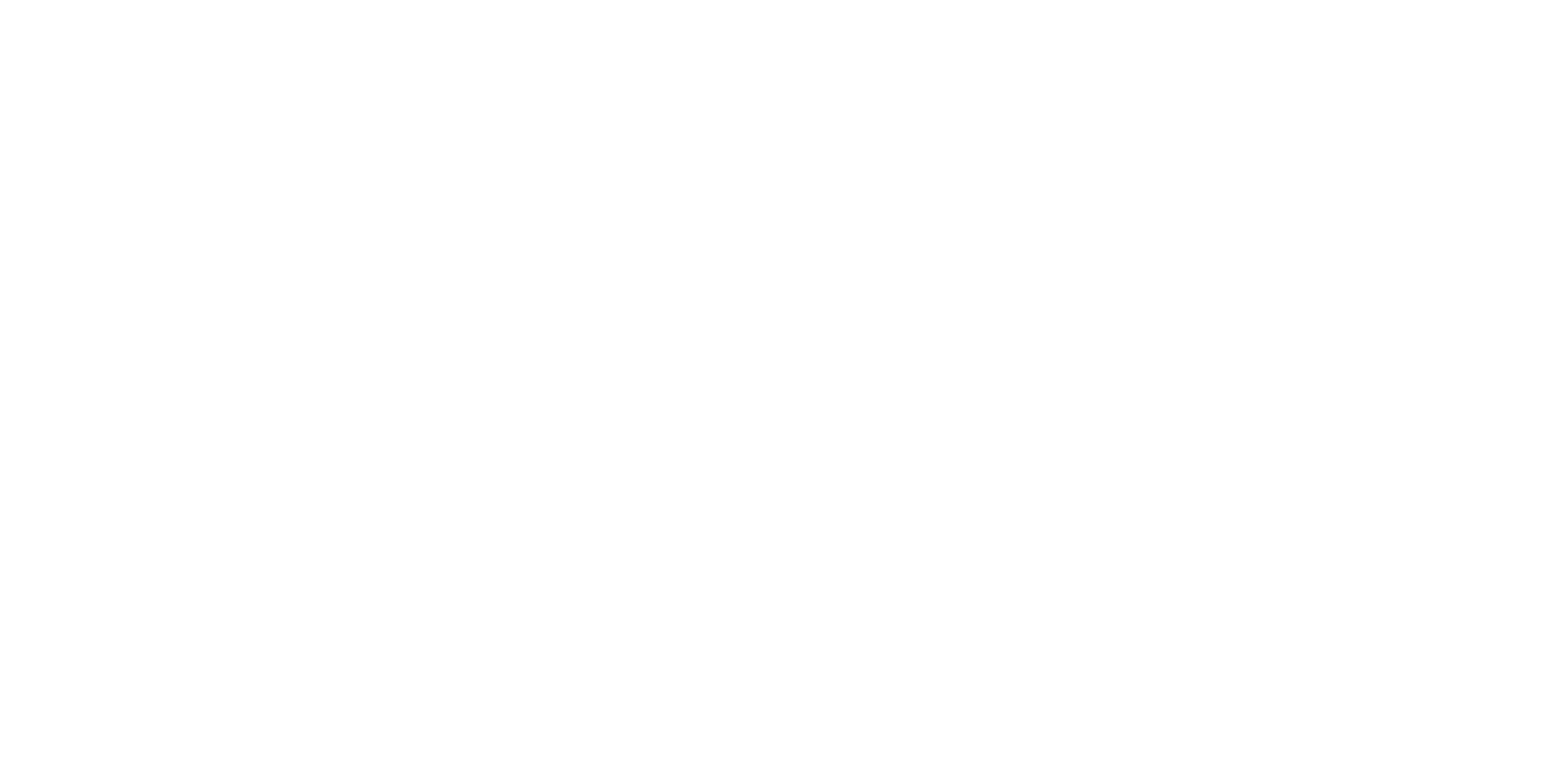 N1 PROTECT